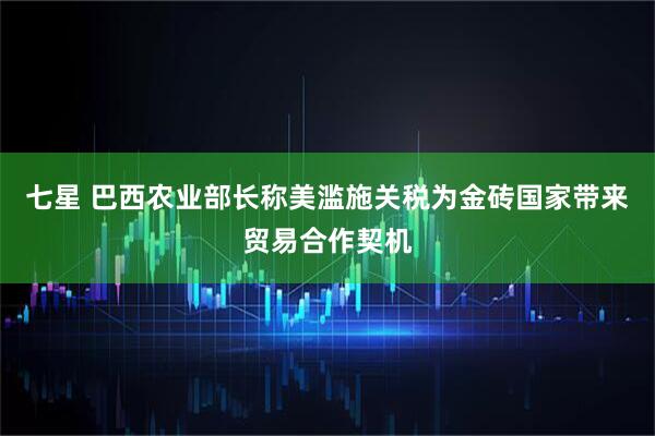 七星 巴西农业部长称美滥施关税为金砖国家带来贸易合作契机