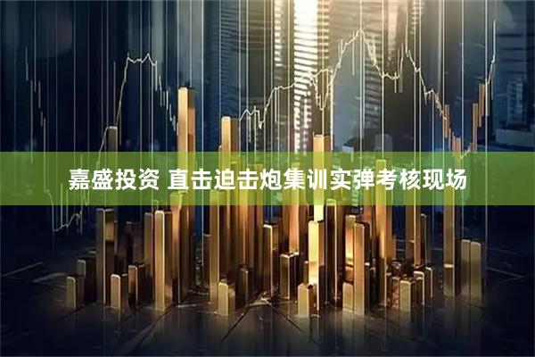 嘉盛投资 直击迫击炮集训实弹考核现场